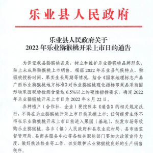(l)I(y)h2022J_(ki)Еr(sh)g